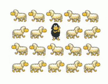 648682_JQREDXROJACWAGE