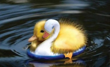 la autoestima patito